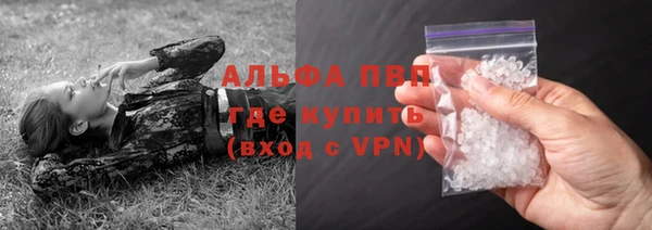 дживик Карпинск