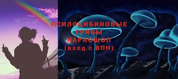 дживик Карпинск