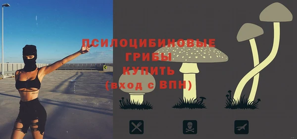 спиды Касимов