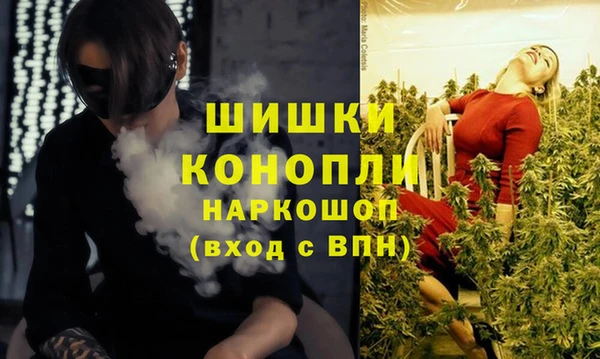 спиды Касимов