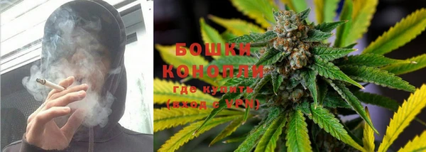 дживик Карпинск
