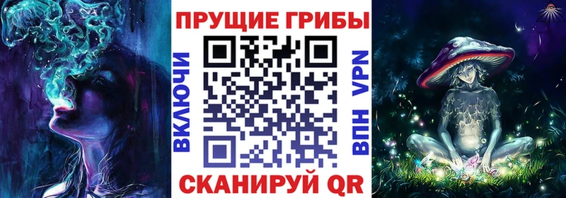 Галлюциногенные грибы GOLDEN TEACHER  где купить наркотик  Кировград 